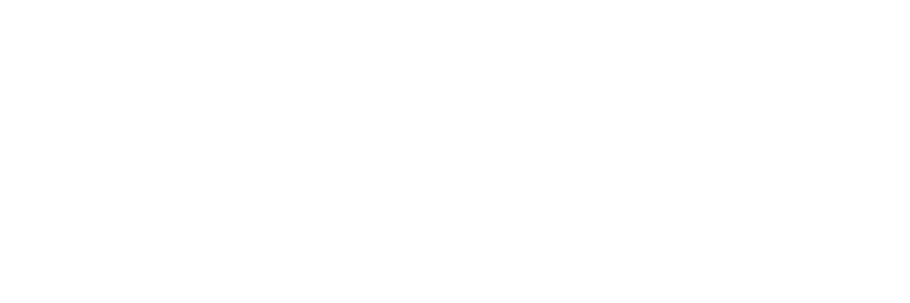 footer-logo